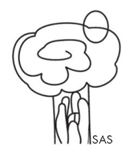 Society for Applied Studies (SAS) logo